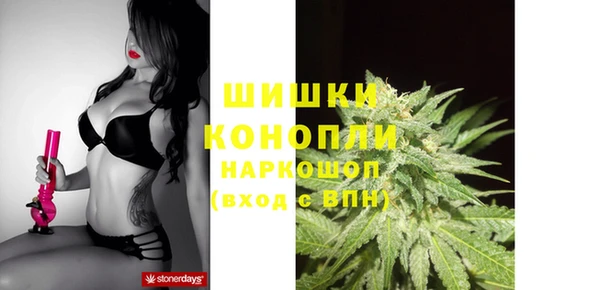 шишки Снежногорск