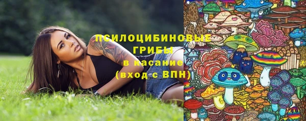 ECSTASY Снежинск