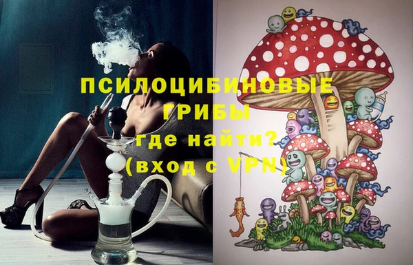 твердый Аркадак