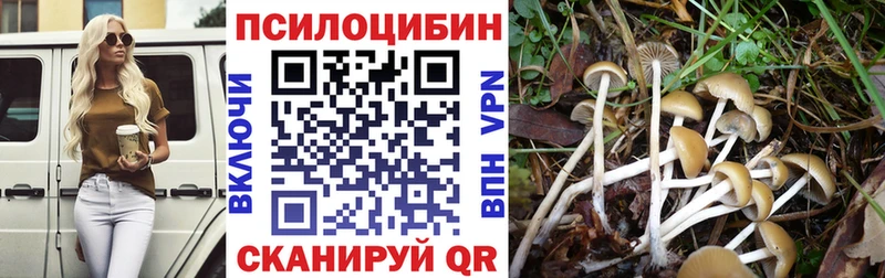 Галлюциногенные грибы Cubensis  Шатура 