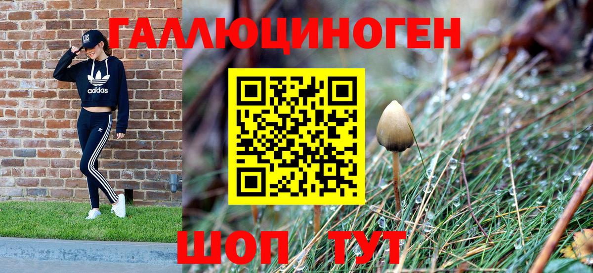 Псилоцибиновые грибы Psilocybine cubensis  Псилоцибиновые грибы Psilocybine cubensis  Шатура  Вход с VPN 