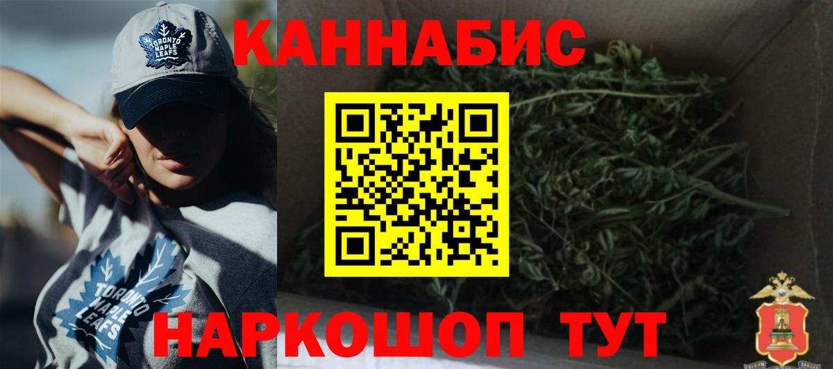 Конопля сатива Шатура